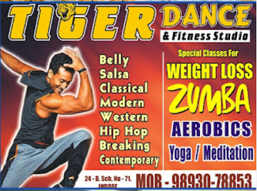 Tiger dance & Fitness studio image 1